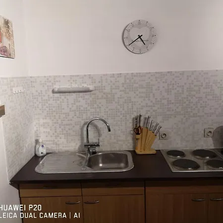 Le Geai Des Chenes *