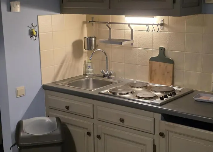 La Mésange Apprivoisée * Vresse-sur-Semois