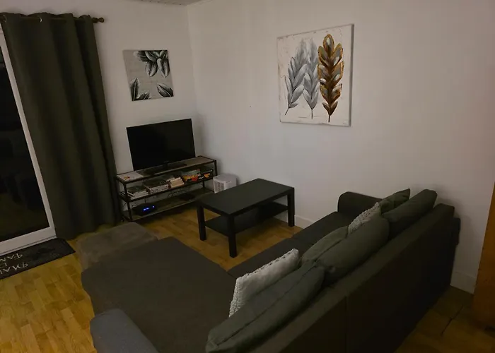 Le Geai Des Chenes *